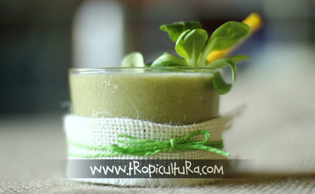 smoothie verde de mango ecológico 02