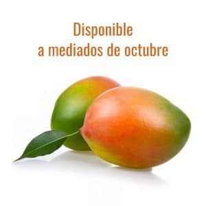 la mejor variedad de mango ecológico Keitt