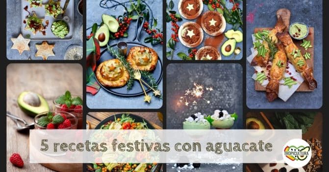 5 recetas festivas con aguacate