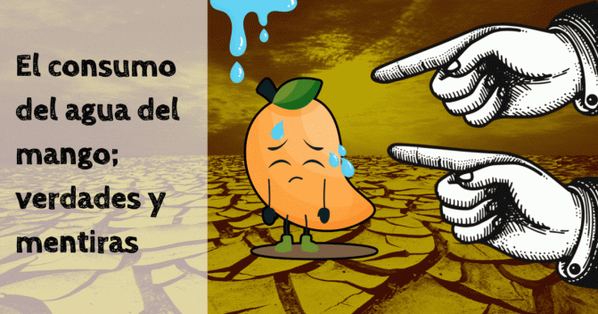 el consumo de agua del mango